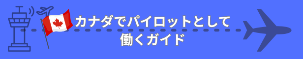 FLIGHT CALL IN始動